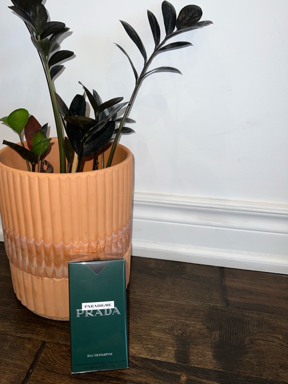 Prada Paradigme Cologne